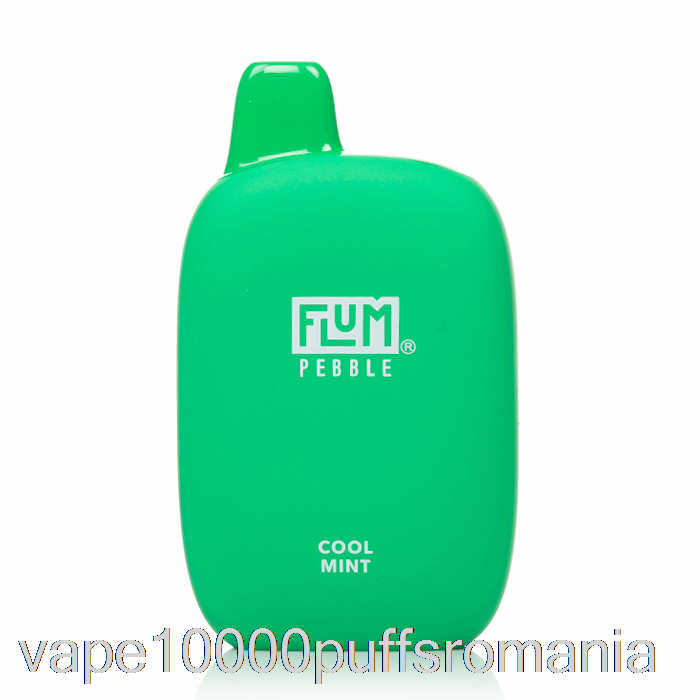 Vape Romania Flum Pebble 6000 De Unica Folosinta Menta Rece